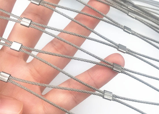 Porcellana resistenza tricottata della rete metallica dell'acciaio inossidabile del puntale di 60mm x di 60mm anti per la recinzione dello zoo fornitore